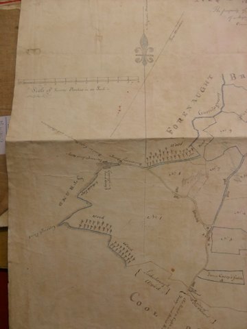 O'Donovan Estates including Bawnlahan West Cork, 1737