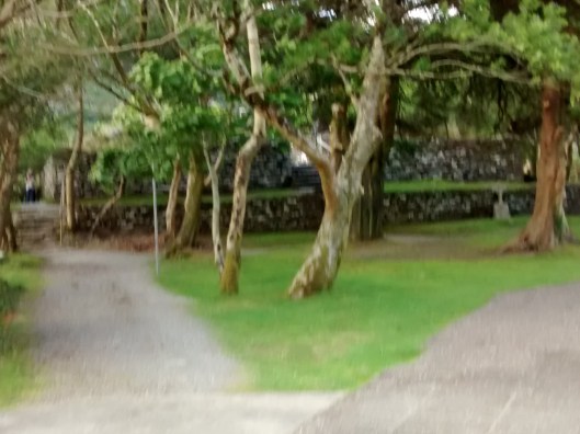 07-IMG_20140810_175052806