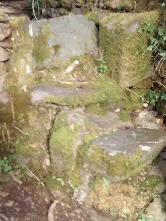 15-IMG_20140810_175336729