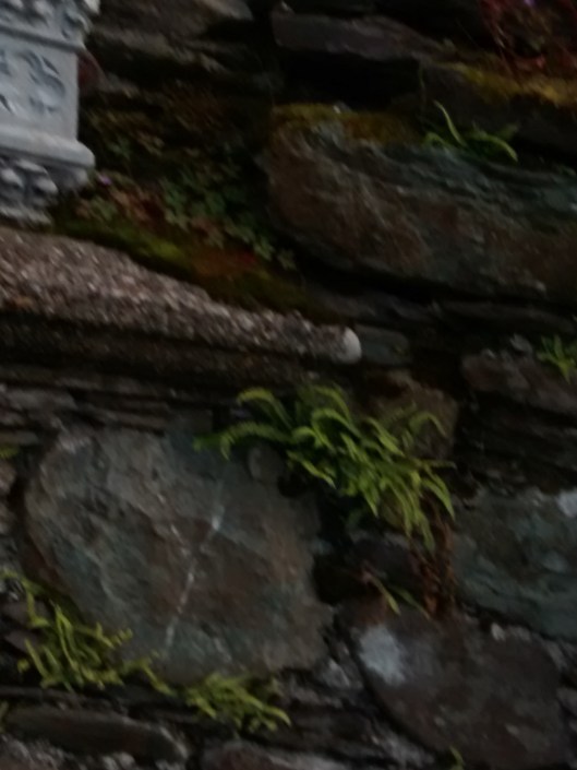 30-IMG_20140810_175630487