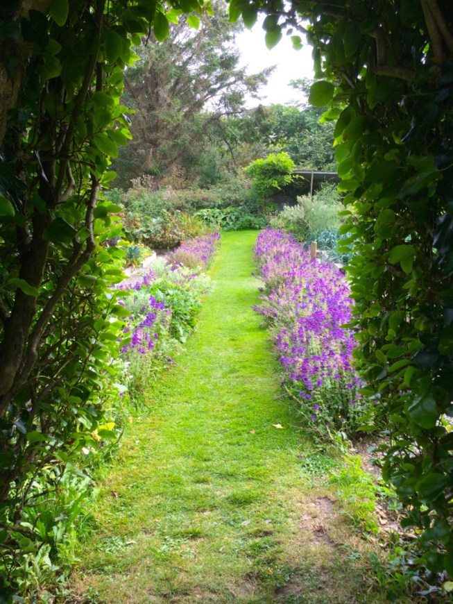 Glebe Gardens in the autumn