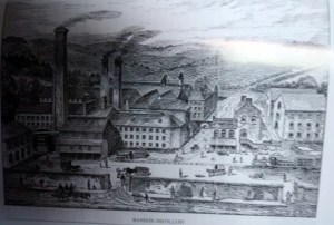 1-IMG_20140805_152403885