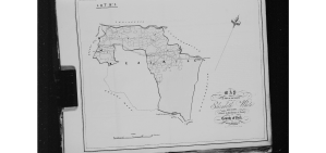 Elizabeth White Kealkil