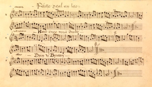 A page from the manuscript of Canon Goodman - Trinity College Library