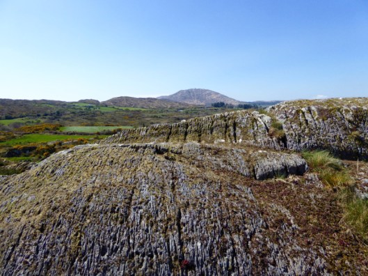 Rathruane More: the view from the rock art site includes a knoll with a row of cupmarks on its upper surface, and Mount Gabriel on the horizon