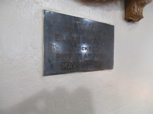21-IMG_5917