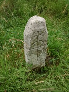 03-2015-08-08 12.37.12