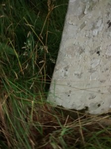 04-2015-08-08 12.39.12