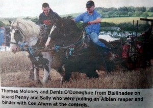 10-IMG_20150814_121831398