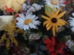 19-IMG_20150821_214659342