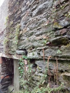 27-2015-08-08 17.01.49