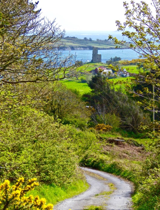 The first hill affords lovely views back to Rossbrin Castle