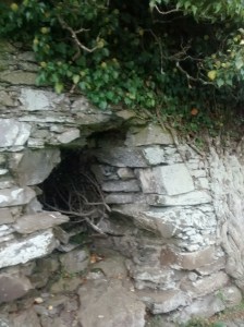 04-IMG_20151003_140410753