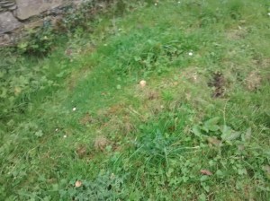 07-IMG_20151003_140440943