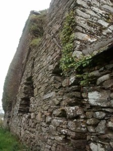 10-IMG_20151003_140501684