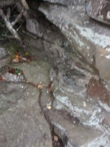 11-IMG_20151003_140522709