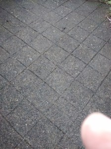 19-IMG_20151005_092315317