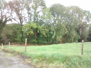 25-IMG_20151005_092506035-001