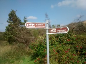 5-IMG_20151002_143239465