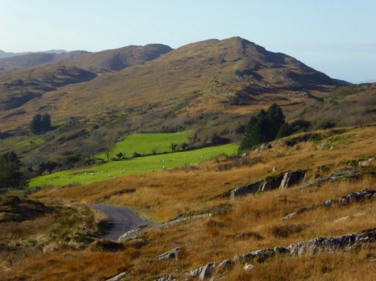 Coomkeen Road, winter