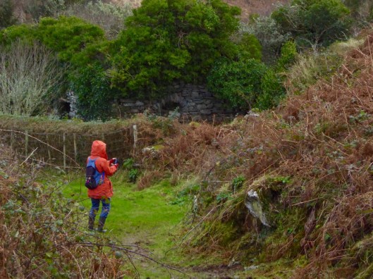 The holy well is up there?