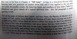 2-IMG_20140805_150840833