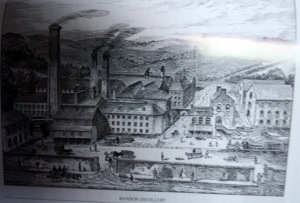 1-IMG_20140805_152403885