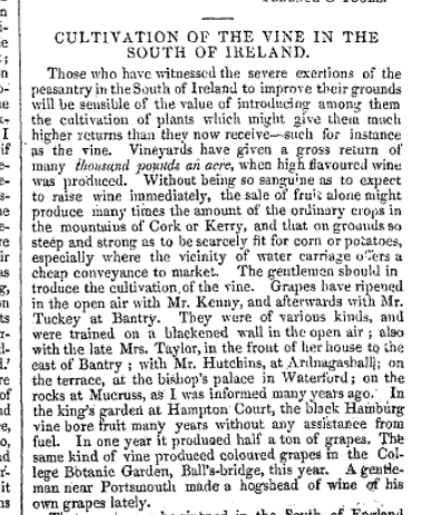 Screen Shot 2018-12-03 at 18.16.11