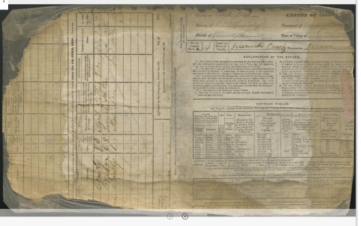 Damaged, 1841 census form (number 4) for Crowly family, Carrigbaun ...